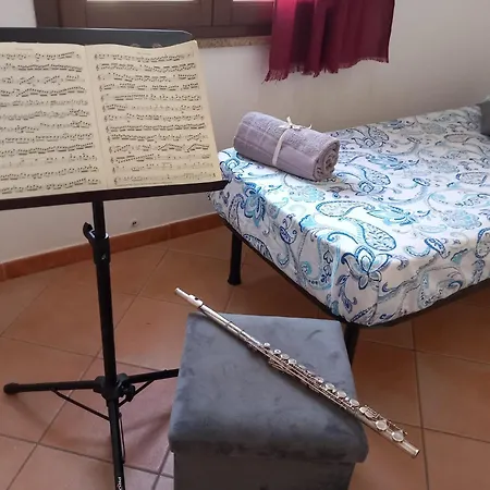 Casa Amsicora - Musicista *
